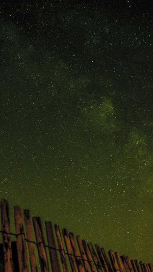 旺道seo优化截图2