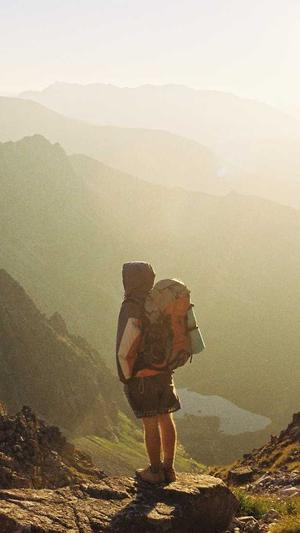 站长工具SEO综合查询截图4