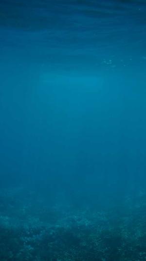 零距离泛目录使用教程截图4