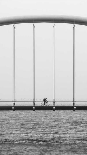 简单seo工具收录截图4