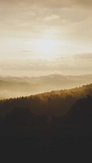 建设网站网站建设公司截图5