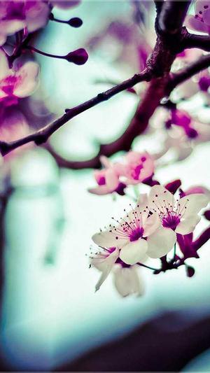 网站建设哪家便宜截图2