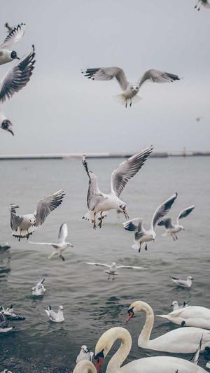 泛目录怎么做seo教程截图3