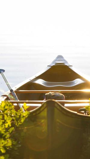 网站建设网络公司截图2