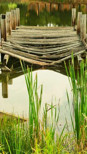 百度蜘蛛池出租提供商截图4