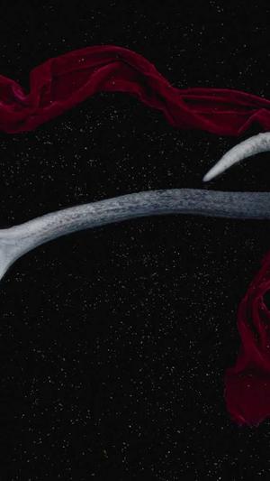 seo自动推广工具截图4