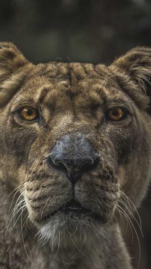 泛目录源码免费截图2