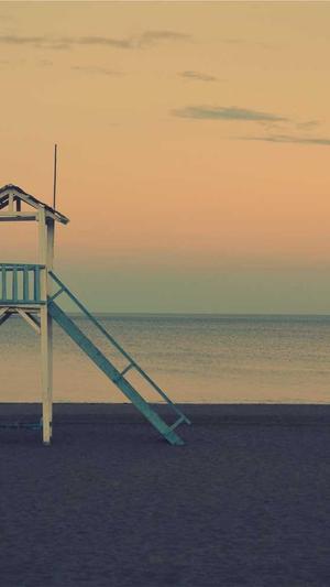 百度蜘蛛池终极版截图3