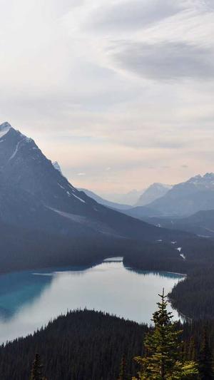 seo收录工具截图1