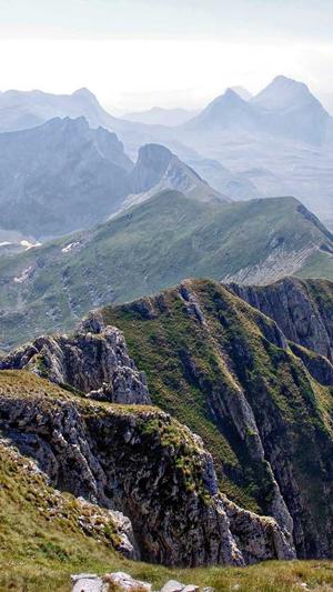 黑帽泛目录站群截图2
