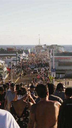 真实的蜘蛛池怎么进去截图1