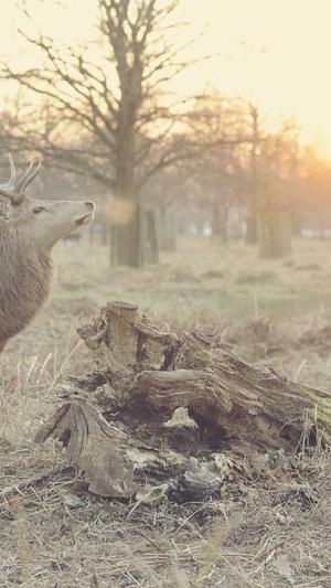 毕节市网站建设截图4