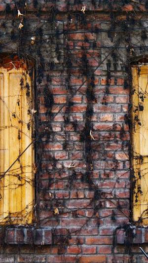 seo外链群发软件工具截图3