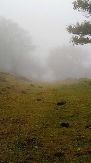 保定 网站建设截图2