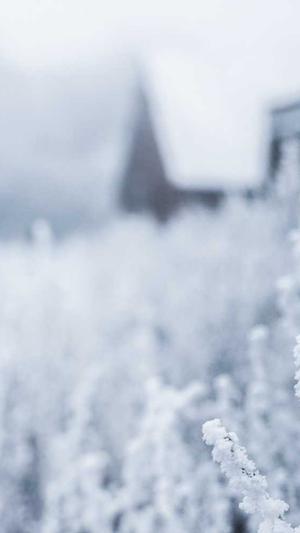 seo 排名工具截图3