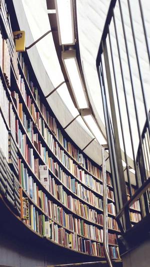 seo必备工具截图4