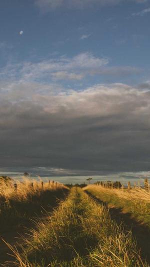 泛目录源码xml截图2