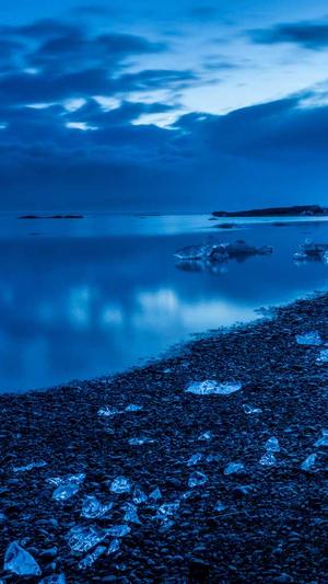 蜘蛛池出租提供商截图1