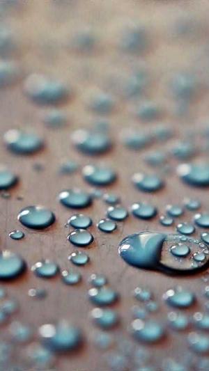 刷网站seo排名工具截图2