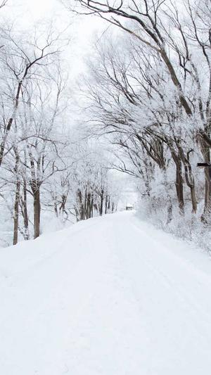 超级蜘蛛池怎么样截图4
