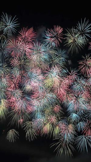 seo是什么职业截图3