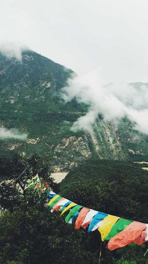 刷网站seo排名工具截图4