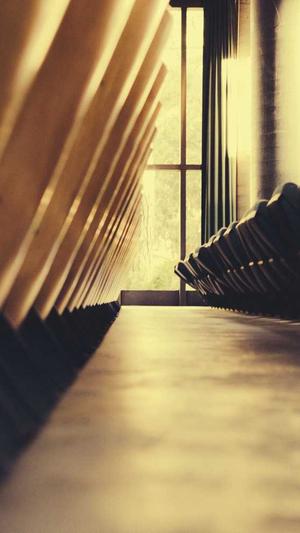 建设网站网站建设公司截图3